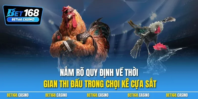 Nắm rõ quy định về thời gian thi đấu trong chọi kê cựa sắt